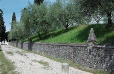 IPA San Fior – Godega di S.U. – Colle Umberto