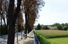 Pista ciclopedonale a Cappella Maggiore